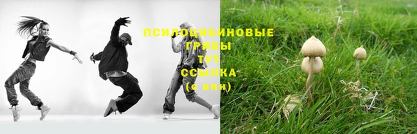 прущая мука Армянск