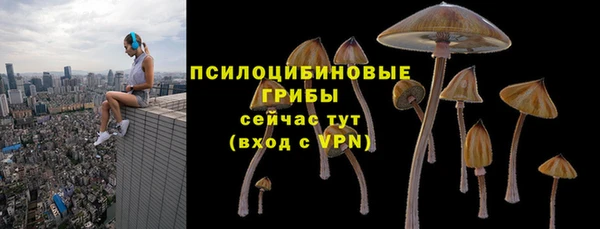 герыч Арсеньев