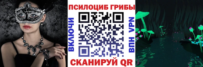 Галлюциногенные грибы Psilocybe  кракен сайт  Реутов 